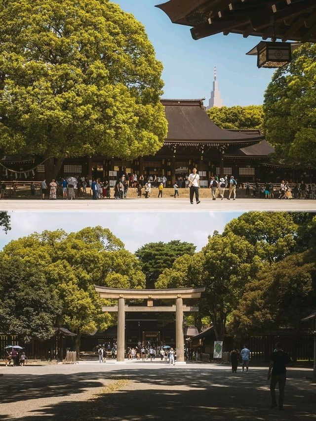 1 day itinerary-TOKYO🇯🇵