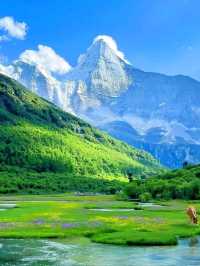 🏔️ Daocheng Yading Scenic Area: A Sacred Shangri-La of China