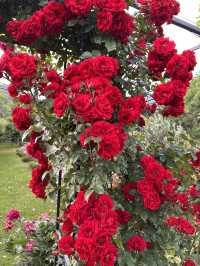 Guesthouse of hundreds of roses