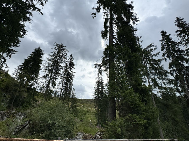 走訪多洛米蒂山最美麗的湖泊～雷扎湖 (Lake Carezza)