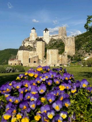 🏰🌊 “Stone Meets Danube: My Epic Day at Golubac Fortress” ⚔️✨
