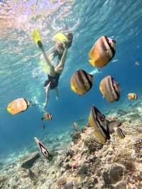 Nusa Penida day trip