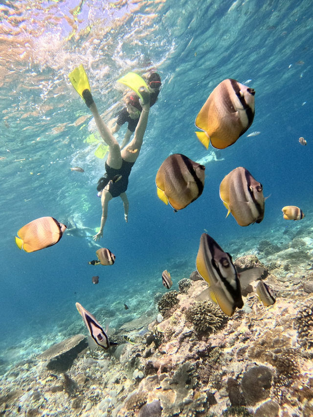 Nusa Penida day trip Nusa Penida day trip