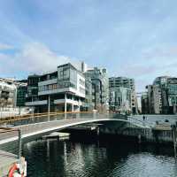 Oslo on a Budget: Fjords, Parks & Hidden Gems