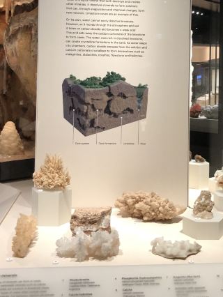 💎 Step Into a World of Sparkle at the Australian Museum, Sydney 💫