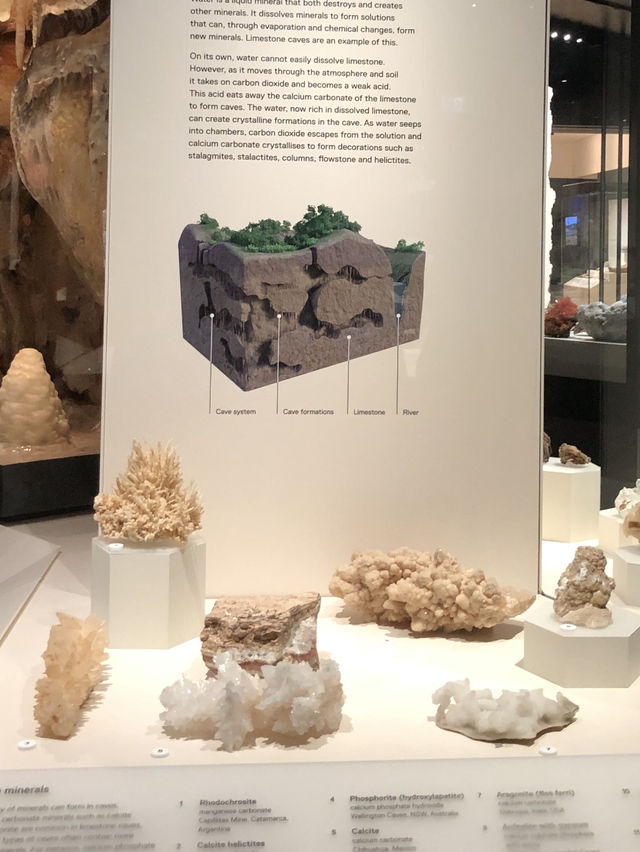 💎 Step Into a World of Sparkle at the Australian Museum, Sydney 💫