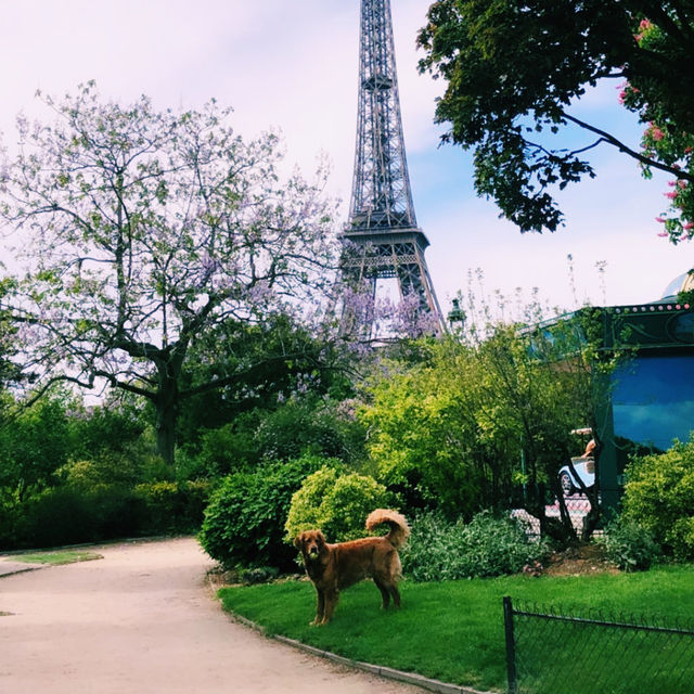 Paris on a Budget: Hidden Corners of the City of Lights Paris on a Budget: Hidden Corners of the City of Lights