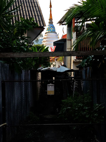 황금의 숨결이 깃든 사원의 아침 🇹🇭