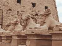 Luxor – The Timeless City of Pharaohs