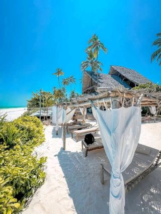 桑給巴爾逃逸之旅