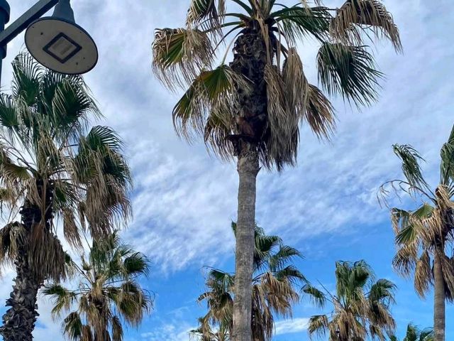 Golden Sands Escape✨