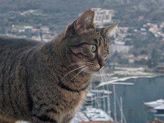 Winter in Montenegro