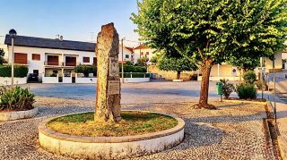 🌿 A Quiet Afternoon at Largo da Devesa🌿