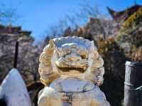 Shangri-La - A Beautiful Tibetan Old Town