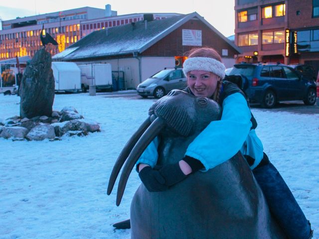 Hug a Walrus in Narvik 