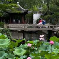 【中国・蘇州】夏は蓮の花が一面に咲き乱れる庭園・拙政園（世界文化遺産）