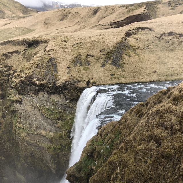 Nature in Iceland!