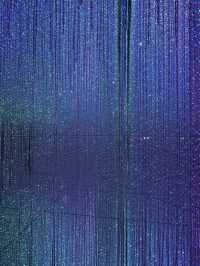 New reality of TeamLab