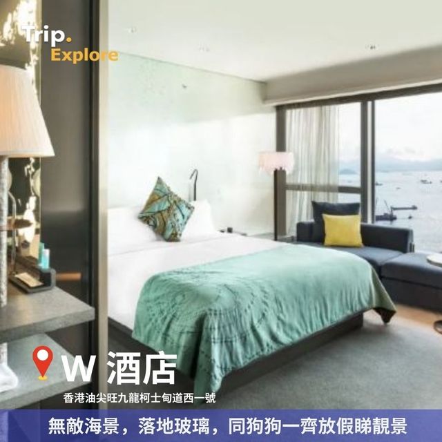 全港寵物酒店Staycation推介🐶 