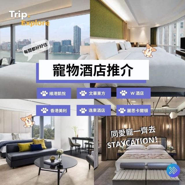 全港寵物酒店Staycation推介🐶 