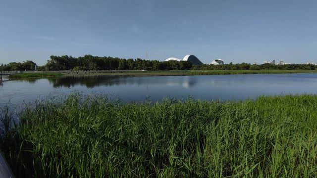 哈爾濱文化中心濕地公園