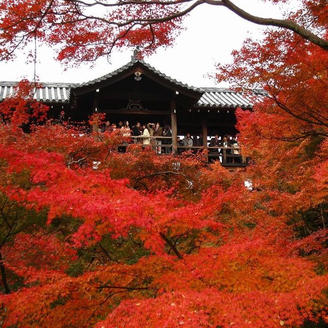 日本之秋：探訪賞楓勝地，濃情畫意🍁
