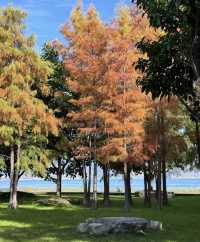 雲南海之味道,海舌生態公園入園必選