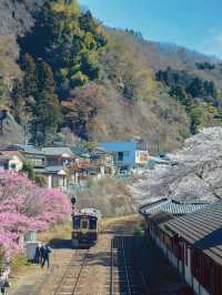 距離東京只有兩小時的櫻花鐵道