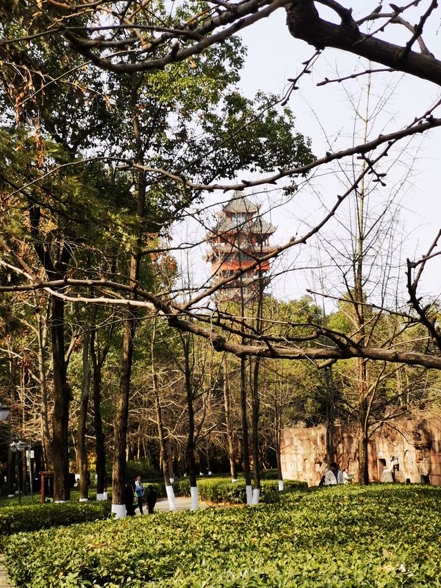 “錦繡天府第一樓”——九天樓