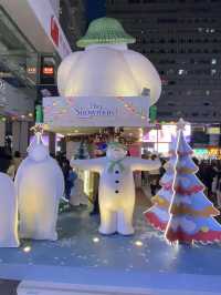Xmas Travel Day Trip 