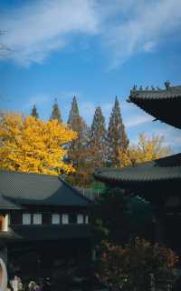 杭州徑山寺半日遊：冬日陽光下的寧靜與美麗
