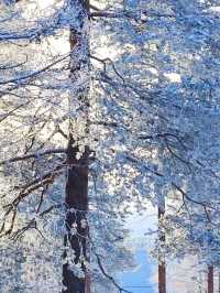 到芬蘭一定要去的滑雪場