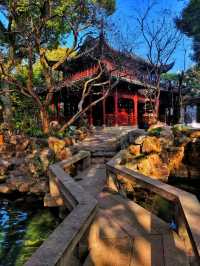 Famous Chinese Botanic Garden! 🌳🪨🐲