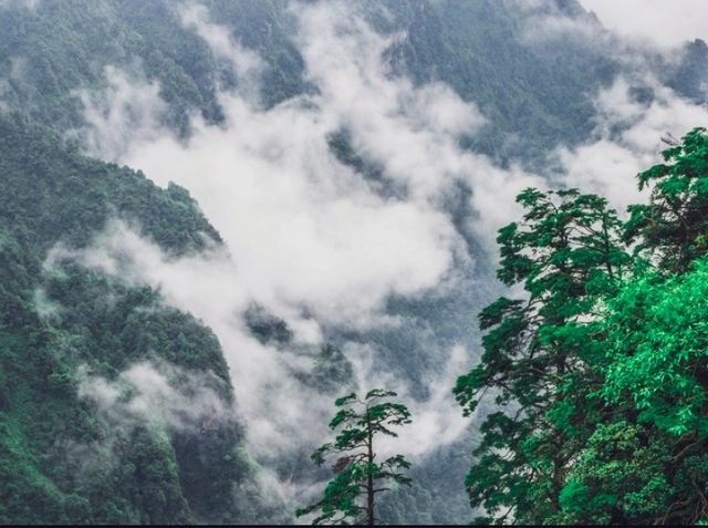 瓦屋山風景區之旅：自然之美與人文之韻的完美融合