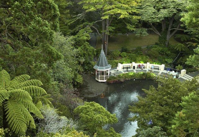 惠靈頓植物園：自然之美的探索之旅