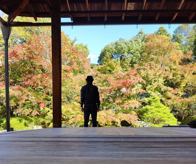 尋找紅葉的旅程 | 京都永觀堂