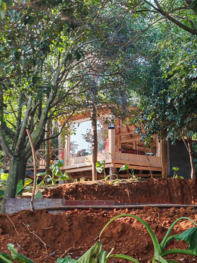 福建行6 福建行6