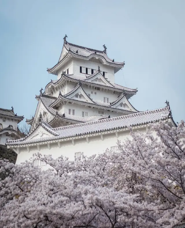 사계절이 아름다운 오사카의 필수 여행코스, 오사카 성