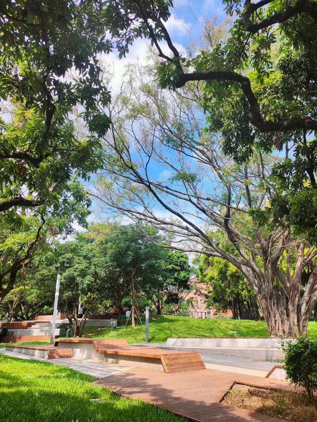 一半湖水一半林，四海公園蛻變換新裝