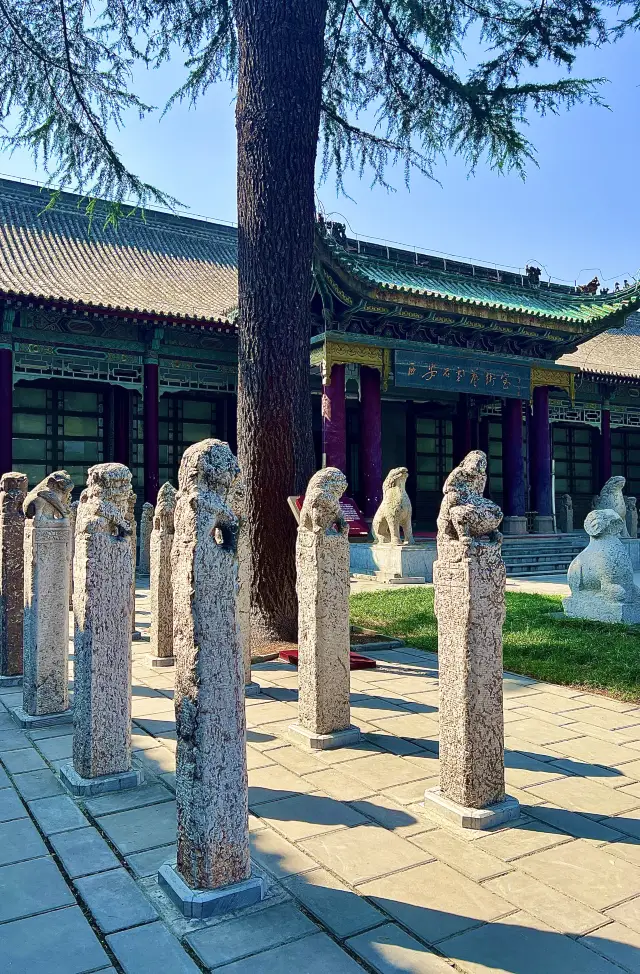 The Stele Forest Museum of Xi'an, known for its collection of steles and stone scriptures, is unparalleled