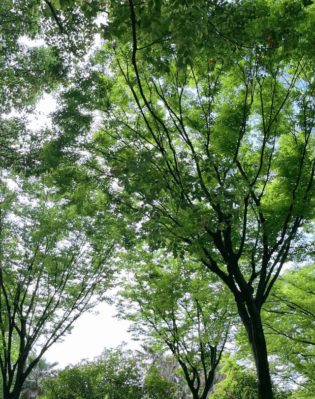 越靠近自然，就越靠近快樂，悠閒寧靜悄然浮現……