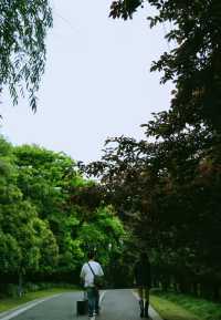藏在身邊的夢中綠野仙蹤