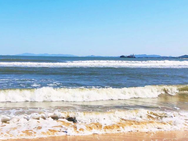 養馬島去了，沒失望