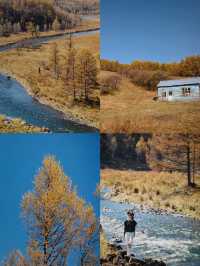 阿爾山攻略｜國內僅次於新疆的絕美秋景