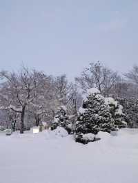來旭川常磐公園必知的5件事！