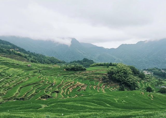 麗水·雲和梯田｜中國最美梯田