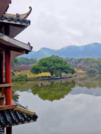 廣西自駕遊…柳州龍潭公園