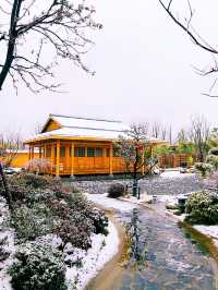 合肥第一個國外友好城市日本久留米園雪景