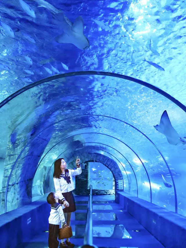 春節に広州に来るなら、子供たちが大好きな「海底竜宮」を見逃さないでください