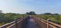 廣西欽州小眾景點仙島公園，全國最大孫中山銅像，千畝紅樹林